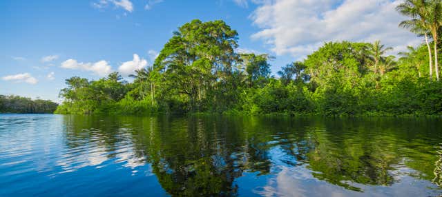 Tour de 3, 4 o 5 días por el río Cuyabeno