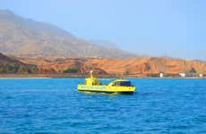 Glass-Bottom Boat Tour