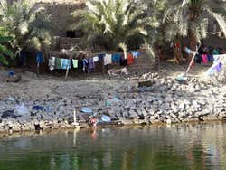 Daily life along the Nile
