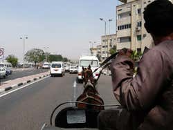 Caleche tour of Aswan