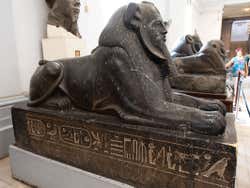 Sphinx in the Egyptian Museum