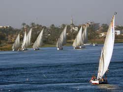 Feluccas on the Nile