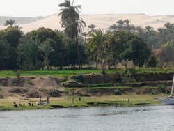The Nile delta
