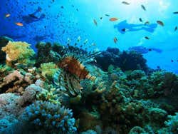 Diving in Sharm el Sheikh