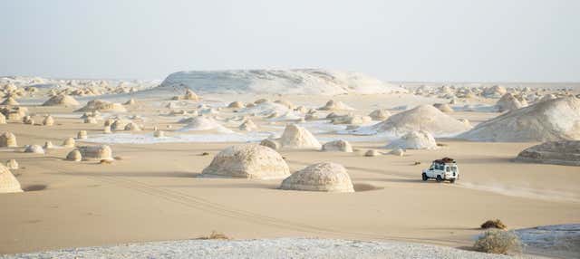 Excursion privée dans le désert blanc et l'oasis de Bahariya
