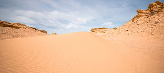 Excursión al oasis de Fayoum