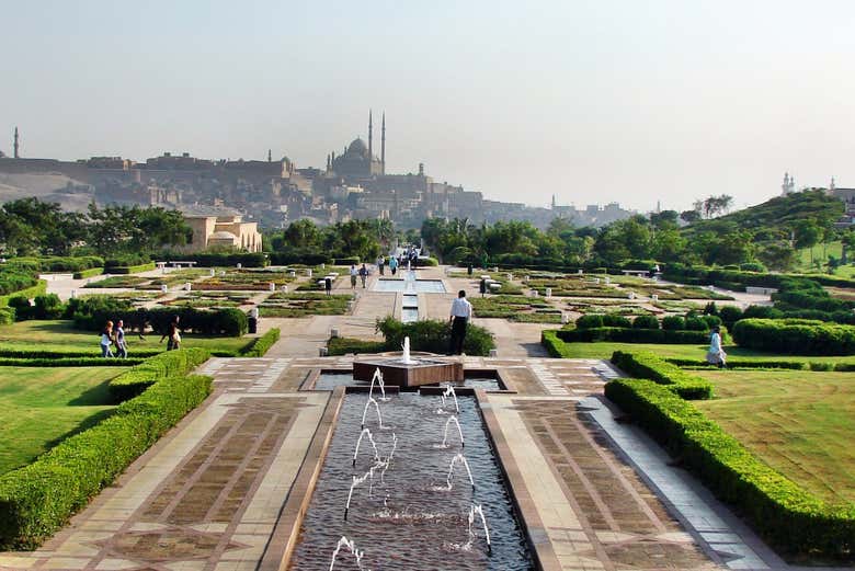 Wonderful landscape design