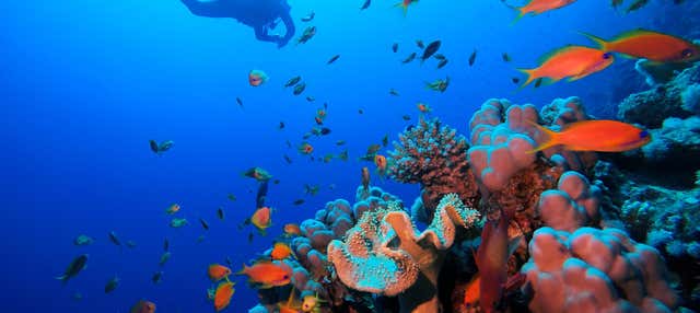 Baptême de plongée dans la mer Rouge