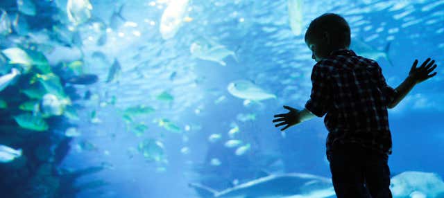 Hurghada Grand Aquarium Trip