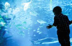 Entrada al acuario de Hurghada con transporte