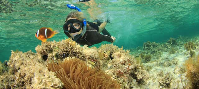 Orange Bay Snorkel Tour