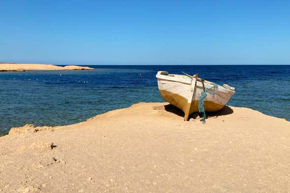 Excursión a la bahía de Sharm El Naga