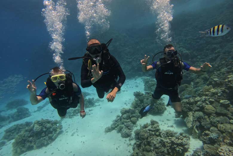 Trois plongeurs dans l'eau