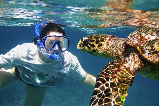 Practicando snorkel con una tortuga marina