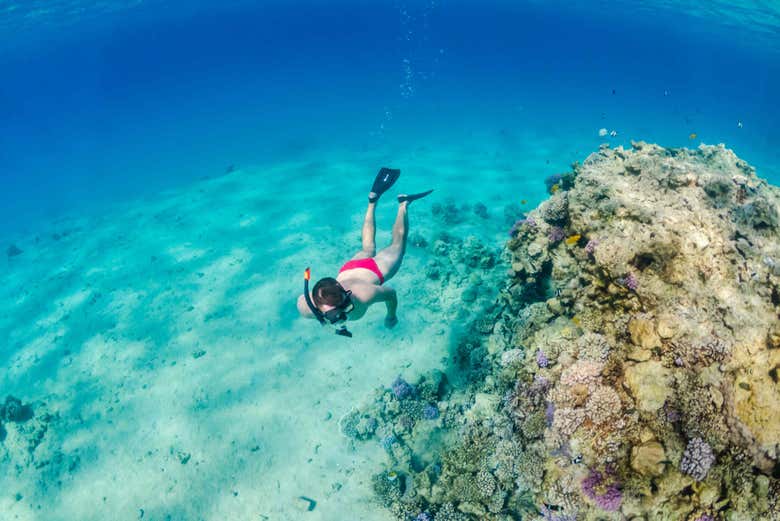 Explorez les fonds marins