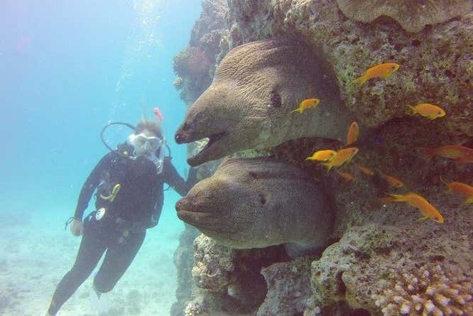 ¡Os lo pasaréis en grande buceando!