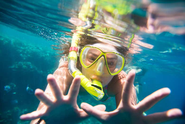 Plongée en apnée dans la mer Rouge