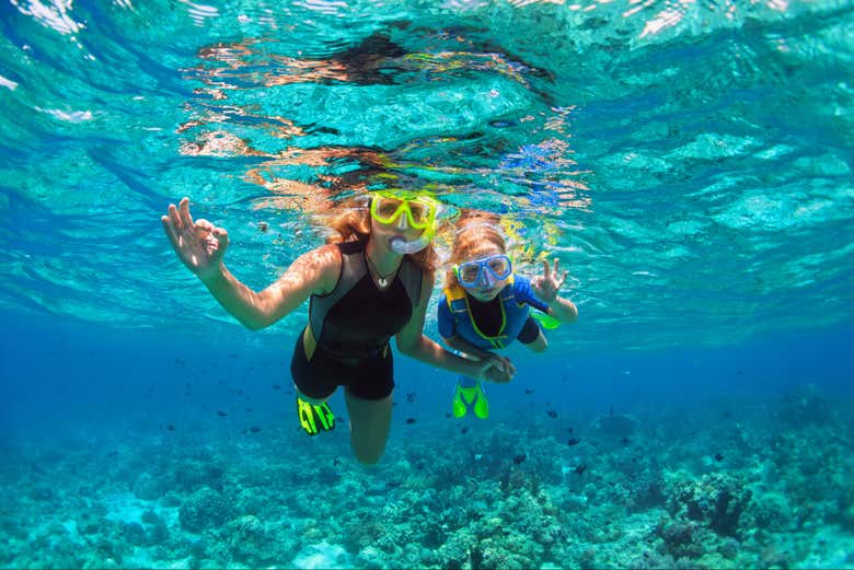 Praticando snorkel no Mar Vermelho