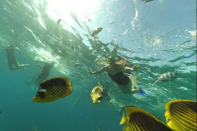 Esplorando i fondali marini