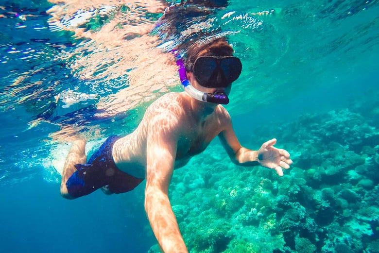 Faire du snorkeling sur l'Île Utopie