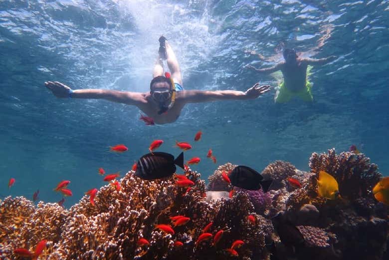 Une expérience inoubliable au cœur de la Mer Rouge