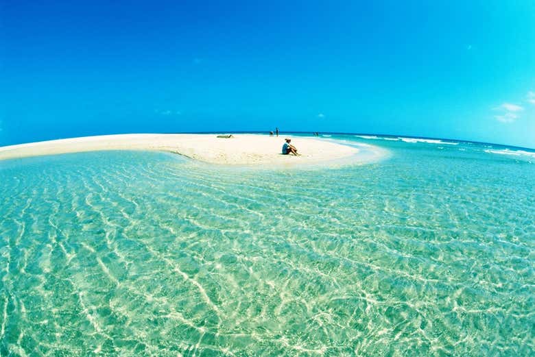 Paisajes naturales de la isla Utopía