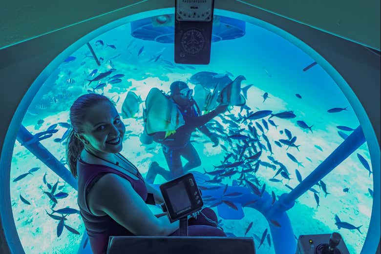 You'll get the best views of the underwater world