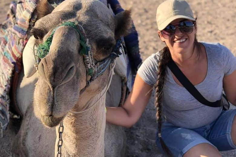 Meet friendly camels!