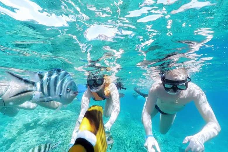 Practicando snorkel en El Gouna