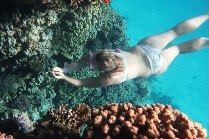 Faites du snorkeling sur l'île Giftoun