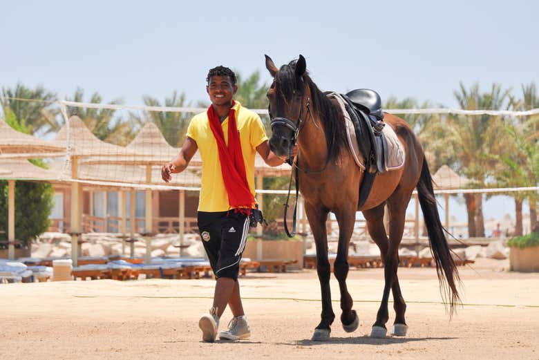 Pronti per la passeggiata a cavallo a Hurghada