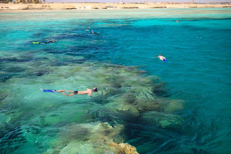 Snorkel en el Parque Nacional Abu Dabbab