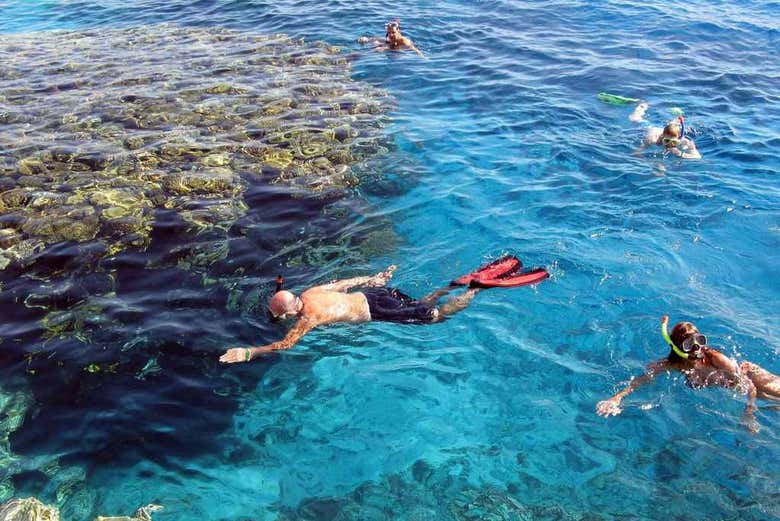 Snorkeling all'Isola di Utopia