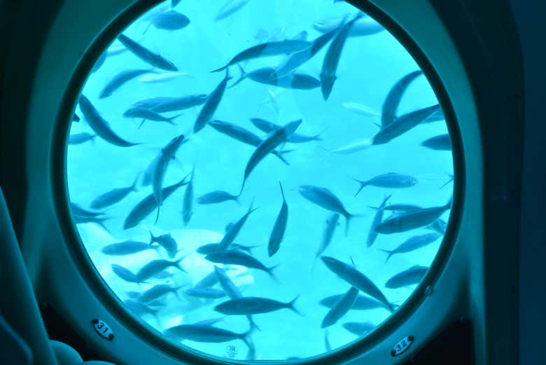 One of the portholes