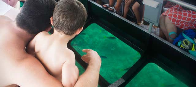 Balade en bateau à fond de verre