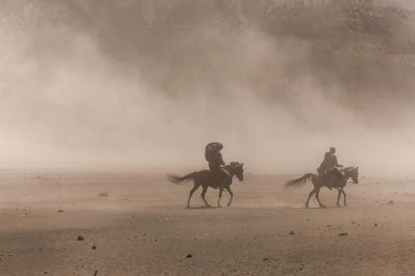 Paseo a caballo por Hurghada