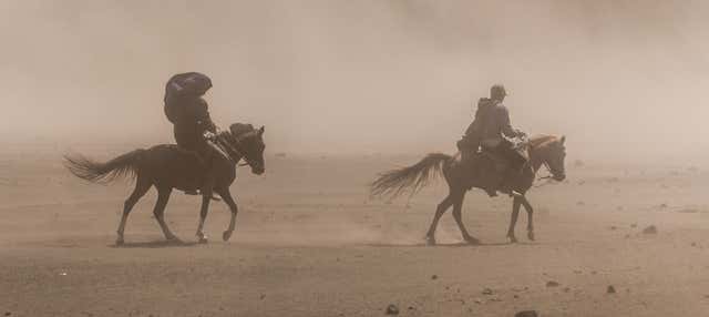 Paseo a caballo por Hurghada