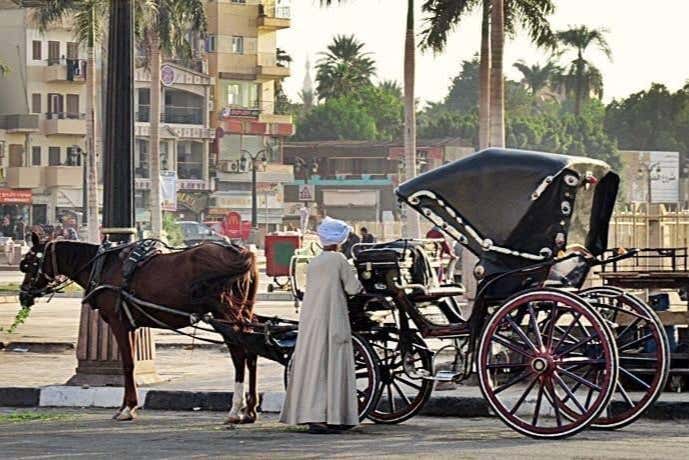 Charrete por Luxor