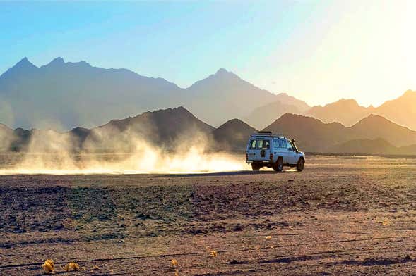 Desert 4x4 Tour + Camel Ride + Dinner & Show