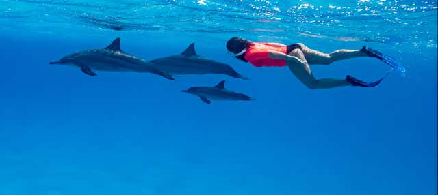 Paseo en barco por Sataya Reef + Snorkel con delfines