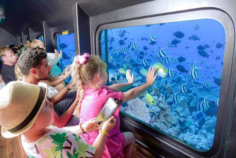 Una actividad en el Mar Rojo para toda la familia