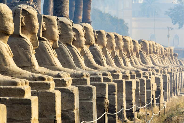 Parcourez l'avenue des Sphinx