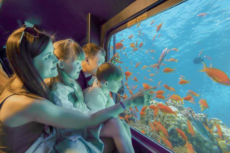 Una familia descubriendo los peces del Mar Rojo