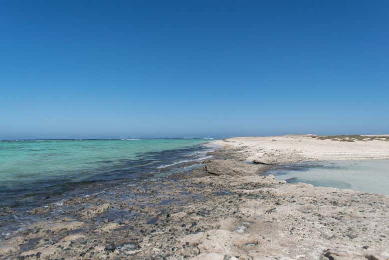 Playas de Wadi El Qulaan