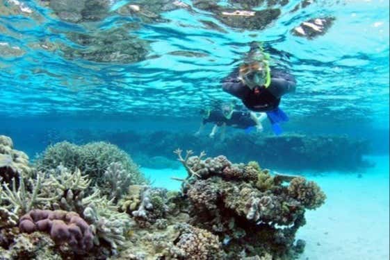 Comenzando la actividad de snorkel