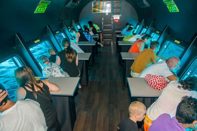 Enjoy the scenic views of the seabed