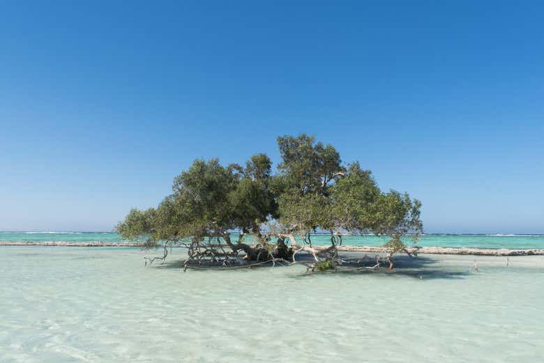 Wadi El Qulaan