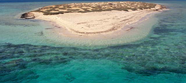 Snorkeling à Sharm El Luli et Wadi El Qulaan