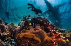 Bautismo de buceo en el Mar Rojo
