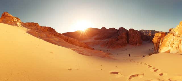 Desierto del Sinaí con cena y espectáculo